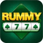 Rummy 77
